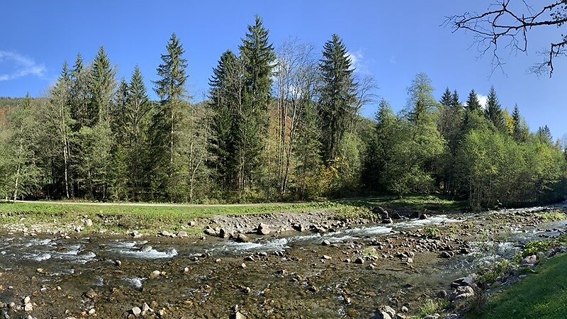 Térkép