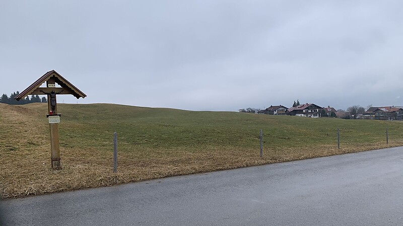 Térkép