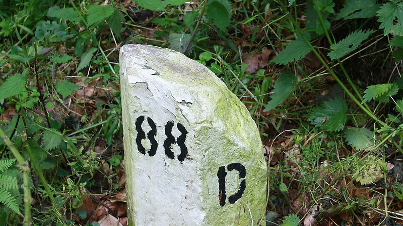 Térkép