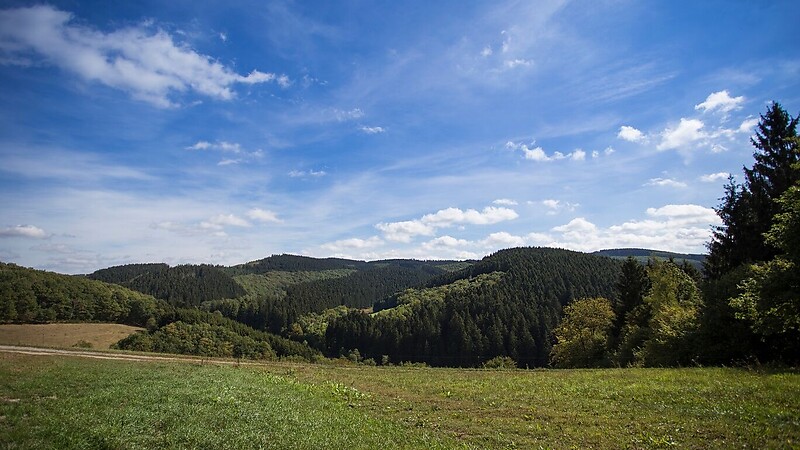 Térkép