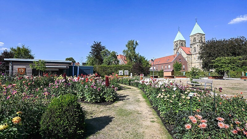 Térkép