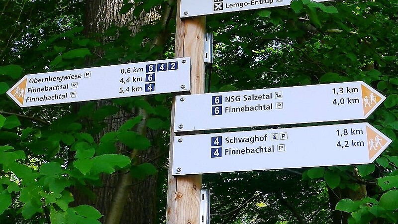 Térkép