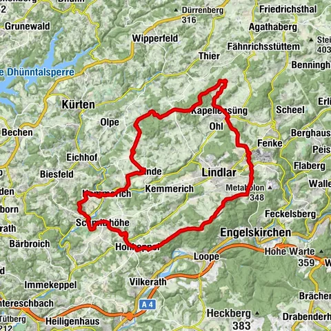 Térkép