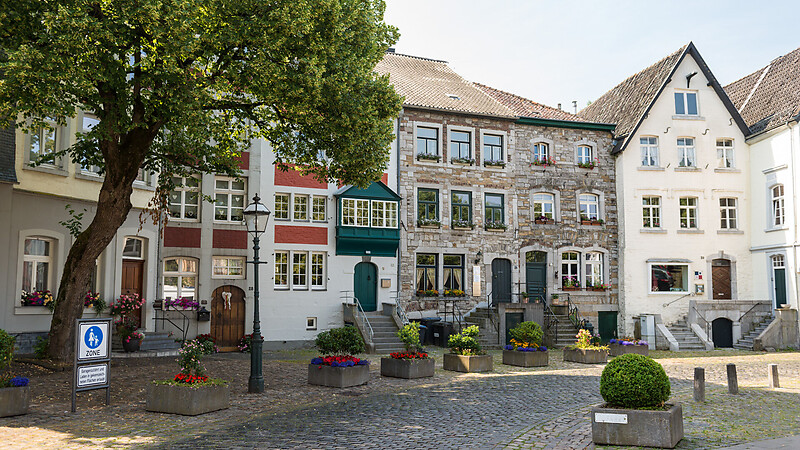 Térkép