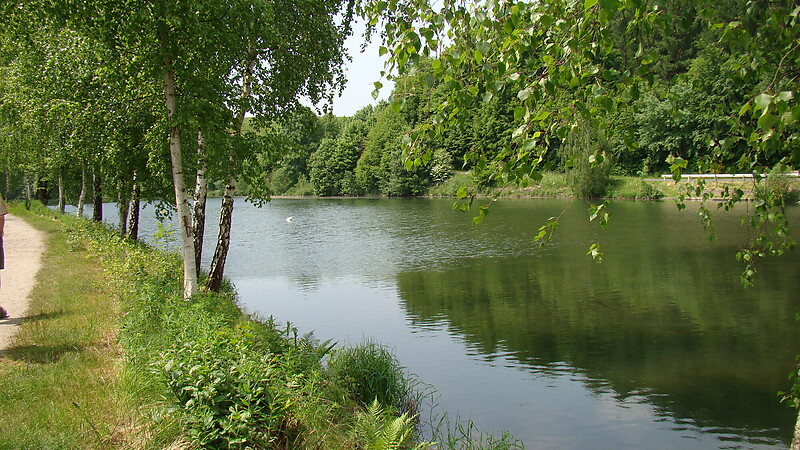 Térkép