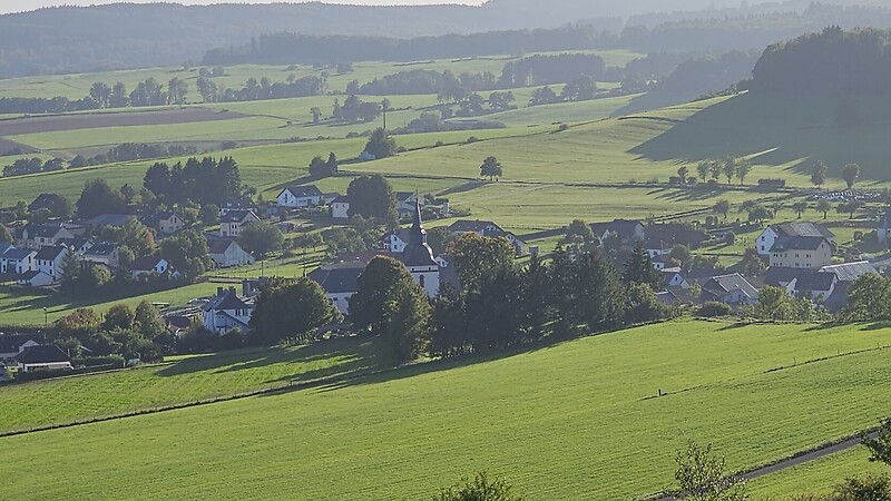 Térkép