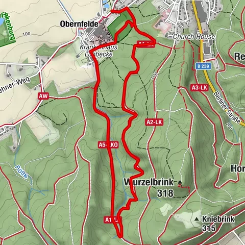 A1 Lübbecke - Wanderweg im Wiehengebirge  