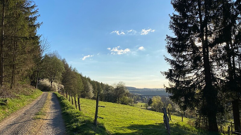 Térkép
