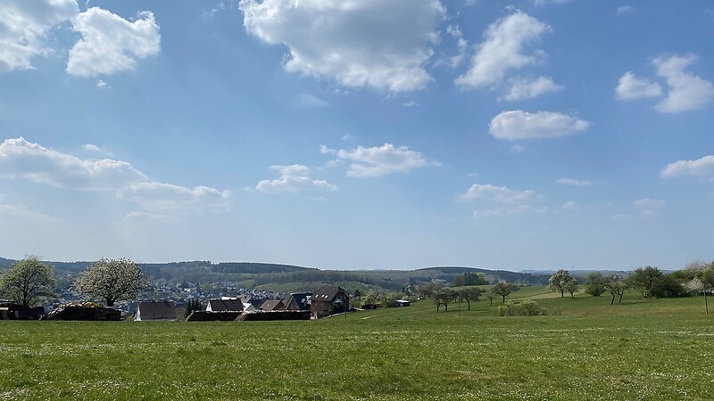 Térkép