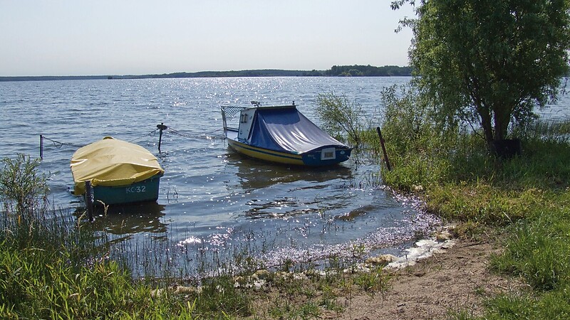 Térkép