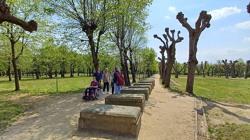 Térkép