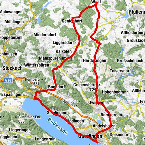 Térkép