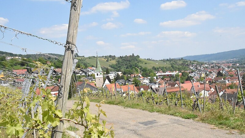Térkép