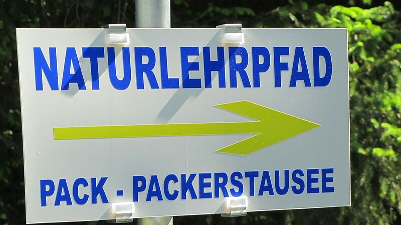Térkép