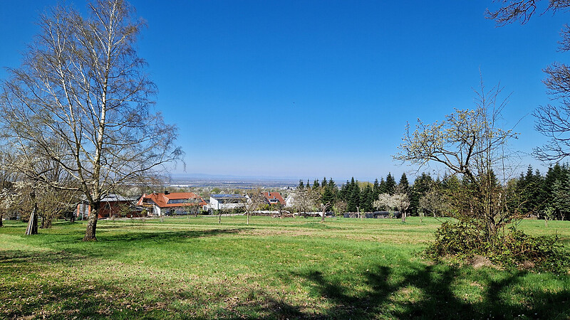 Térkép