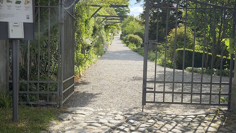 Térkép