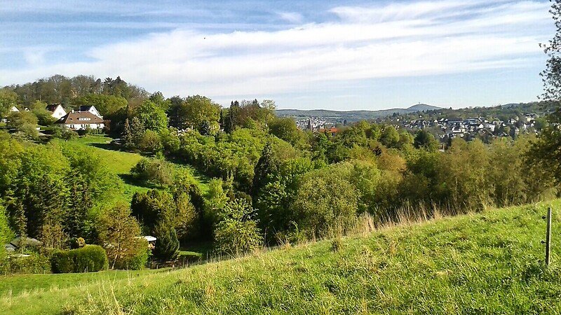 Térkép