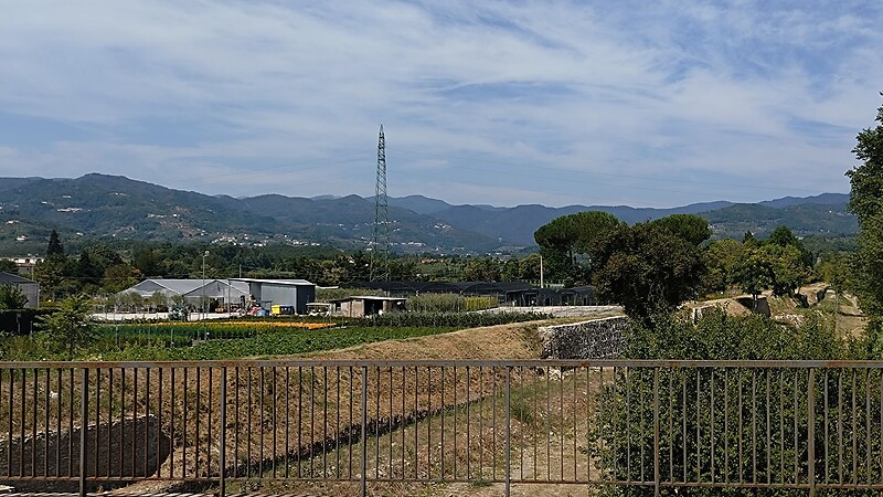 Térkép