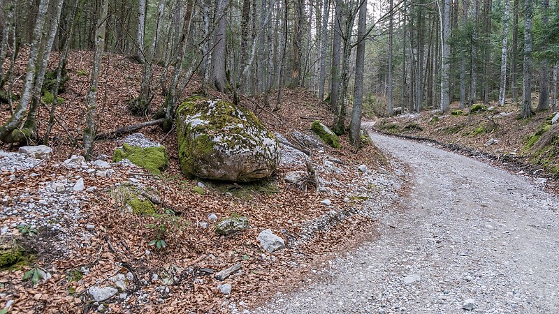 Térkép