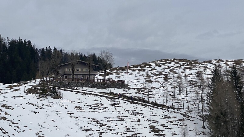 Térkép