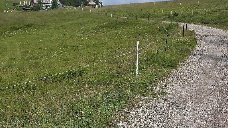 Térkép