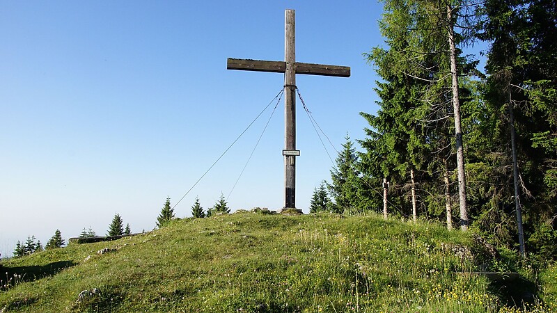 Térkép