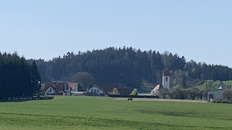 Térkép