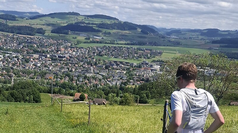 Térkép