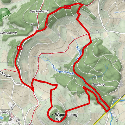 "Hegauer Kegelspiel" Wannenberg hike