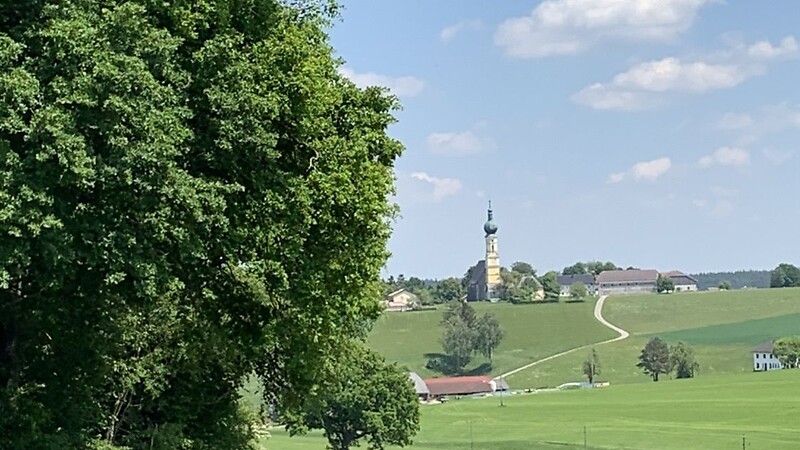 Térkép