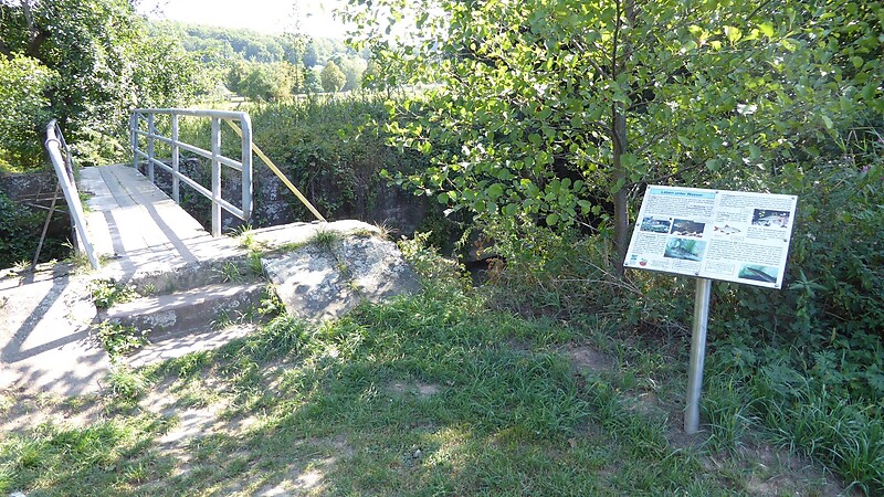 Térkép