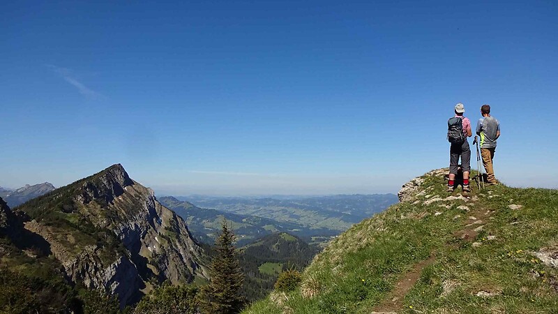 Térkép