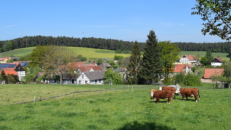 Térkép