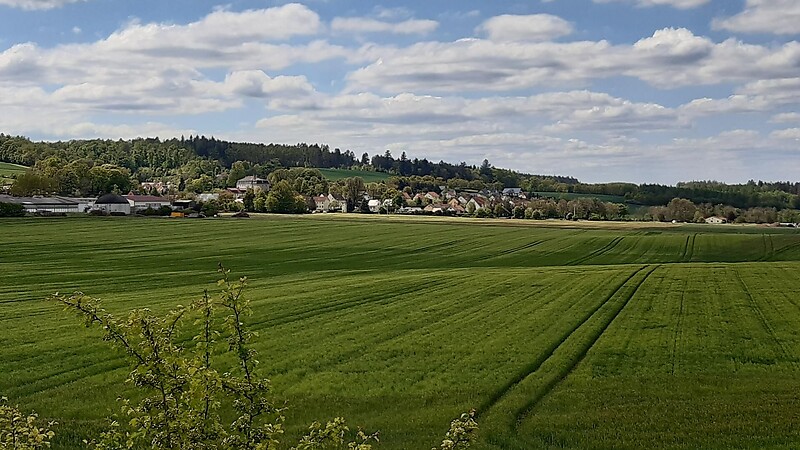 Térkép