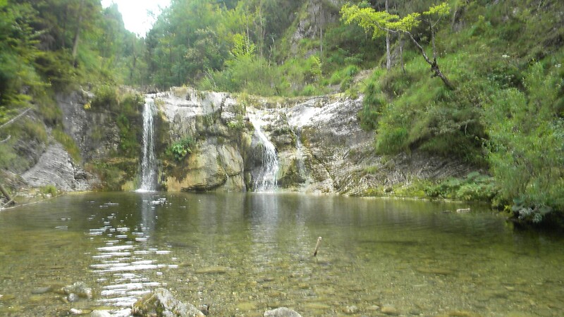 Térkép