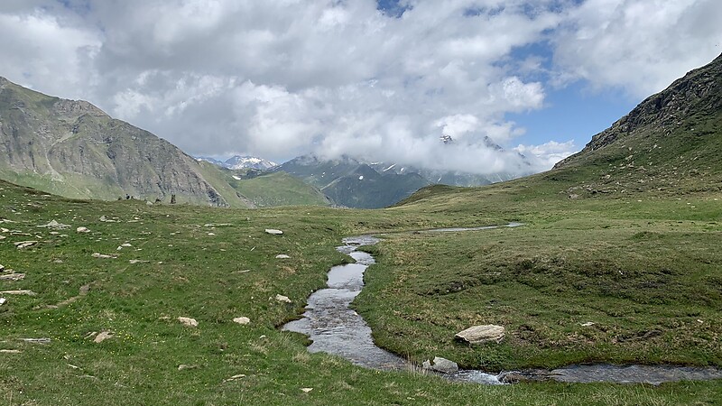 Térkép