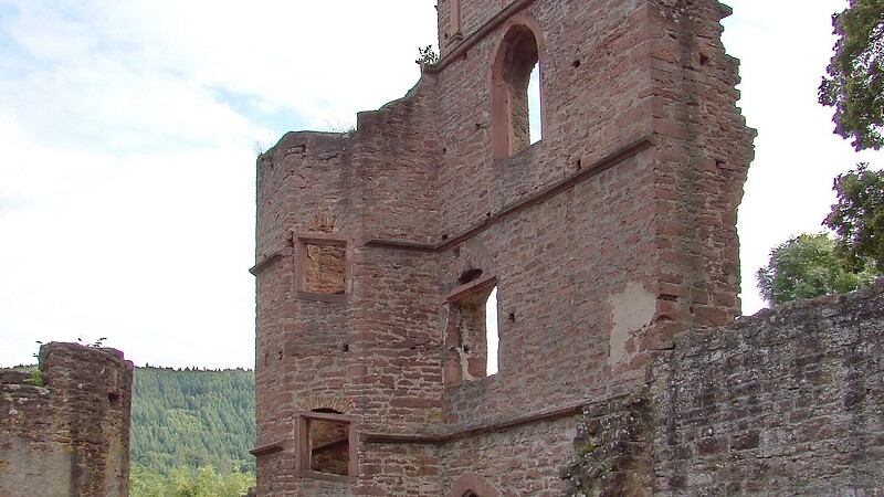 Térkép