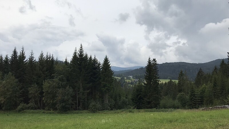 Térkép