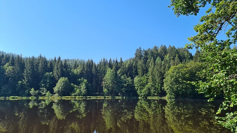 Térkép