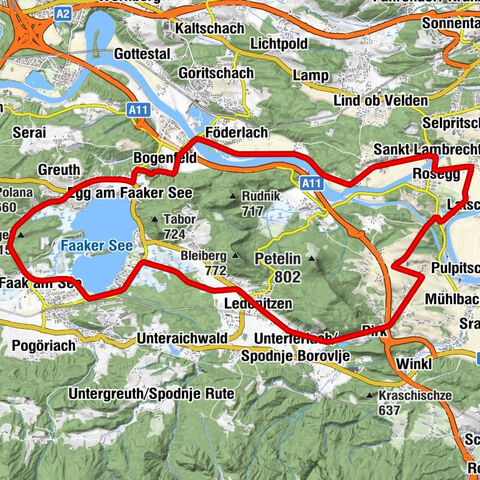 Térkép