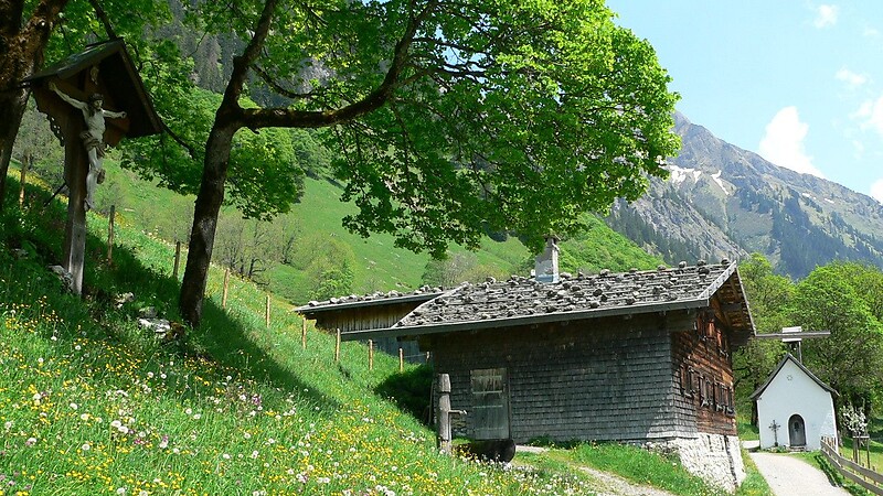 Térkép