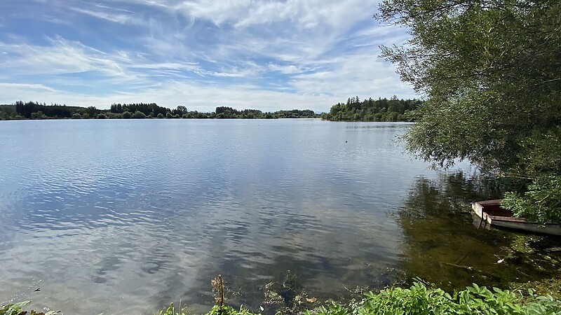 Térkép
