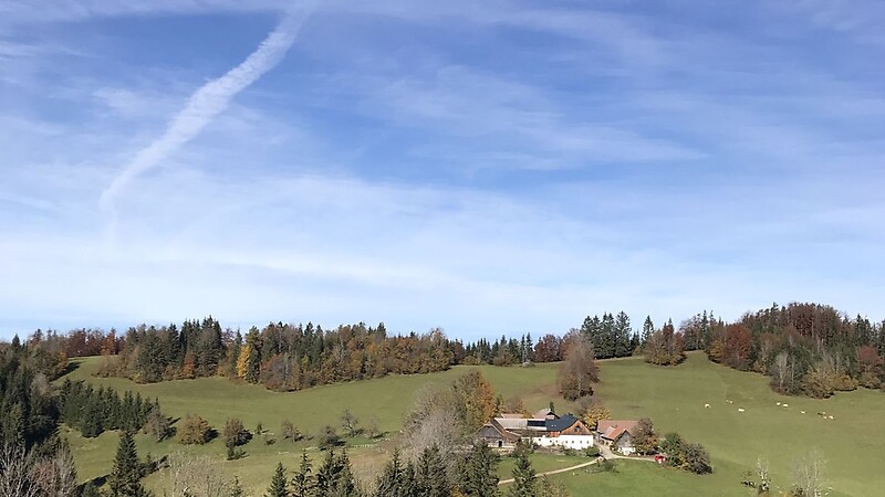 Térkép