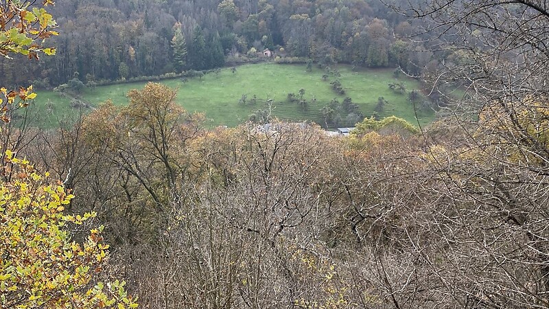 Térkép